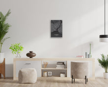 Load image into Gallery viewer, Istanbul Map