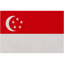 Load image into Gallery viewer, Singapore Flag
