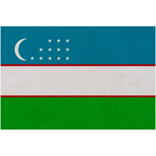 Load image into Gallery viewer, Uzbekistan Flag