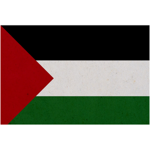 Palestine Flag