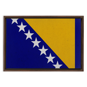 Bosnia Flag