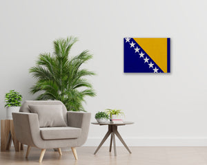 Bosnia Flag