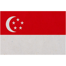 Load image into Gallery viewer, Singapore Flag
