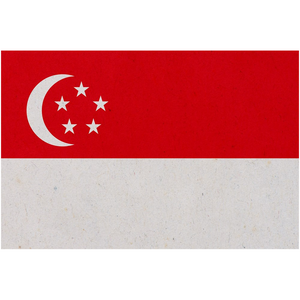 Singapore Flag