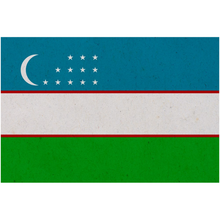 Load image into Gallery viewer, Uzbekistan Flag
