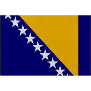 Bosnia Flag